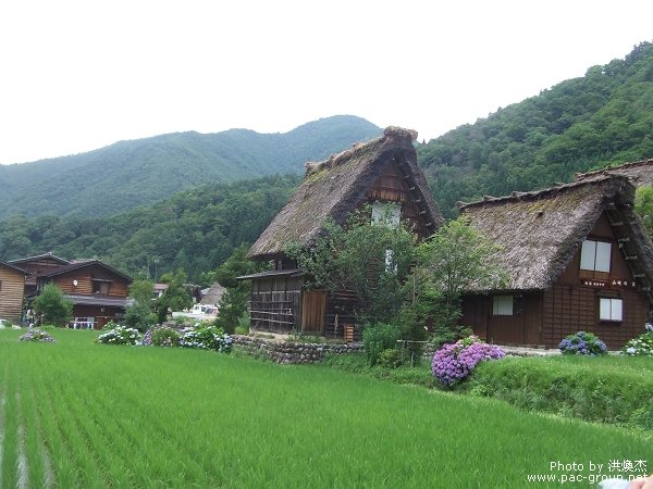 白川鄉合掌村 (5).jpg