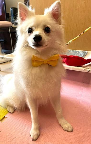 美好毛日_210823_4.jpg