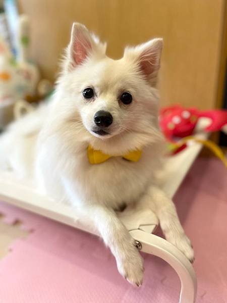 美好毛日_210823_10.jpg