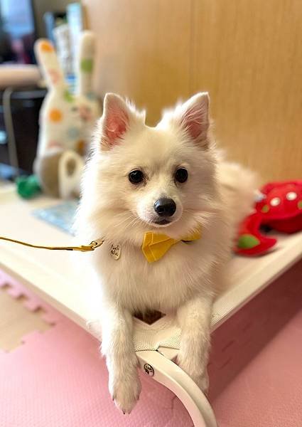 美好毛日_210823_9.jpg