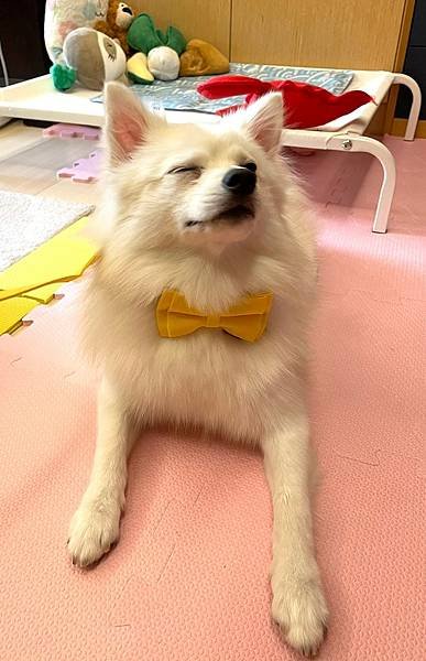 美好毛日_210823_15.jpg