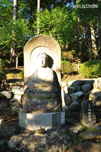DSC_1904.JPG