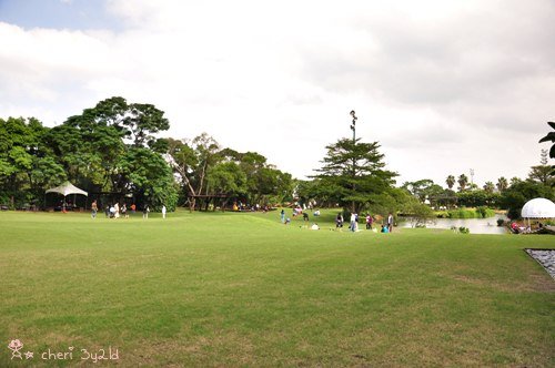 DSC_9107.JPG