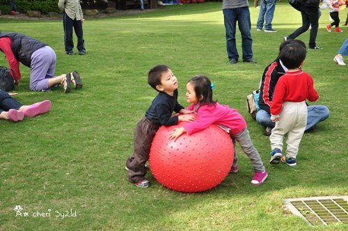 DSC_9245.JPG