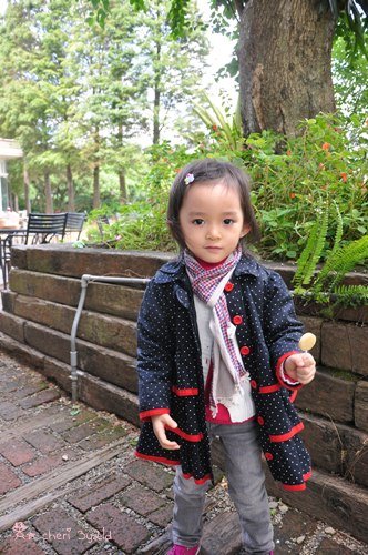 DSC_9134.JPG