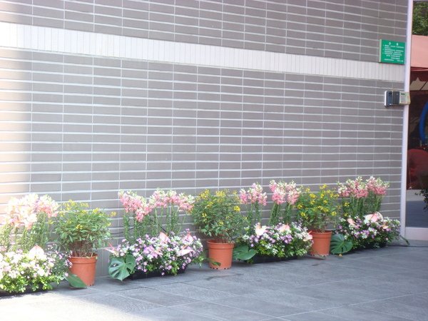 DSC06839.JPG