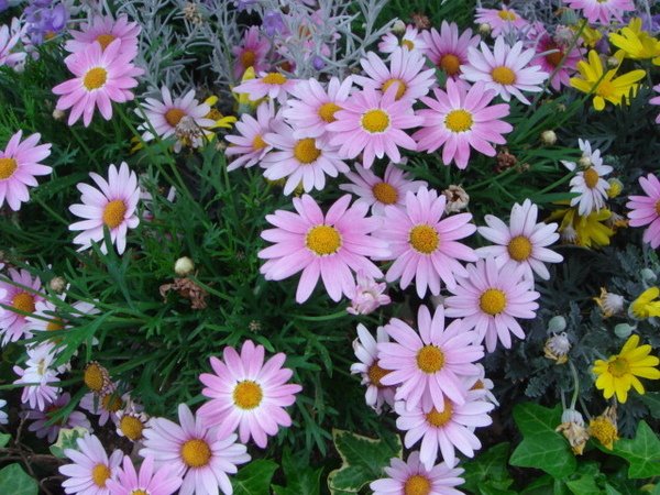 DSC05502.JPG