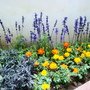 DSC03738.JPG