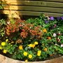 DSC03768.JPG