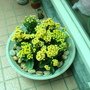 DSC05811.JPG