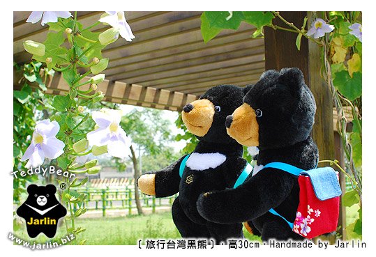 旅行台灣黑熊02