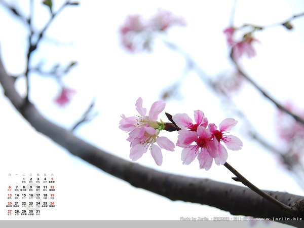 2011_3月