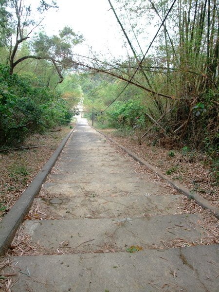 DSCF2461.JPG