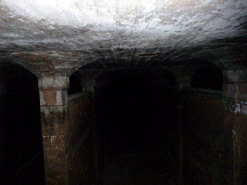 DSCF2486.JPG