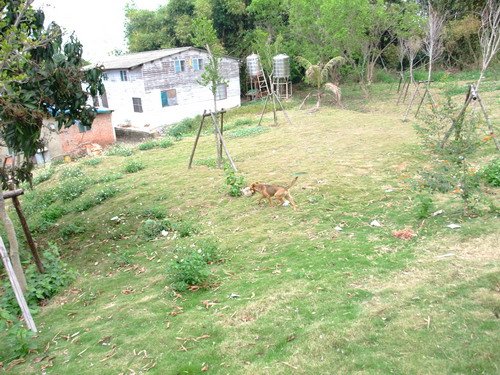 DSCF2489.JPG