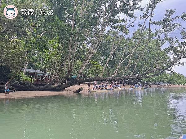 菲律賓自由行_世界新七大奇景_巴拉望公主港地底河流_Undergroud river palawan-29.jpg