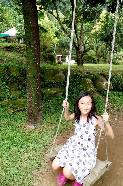 011.JPG