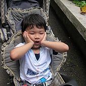 IMG_6586.JPG