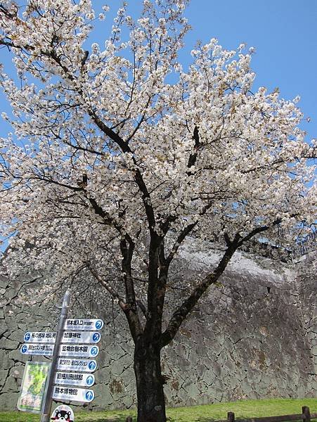 IMG_0915.JPG