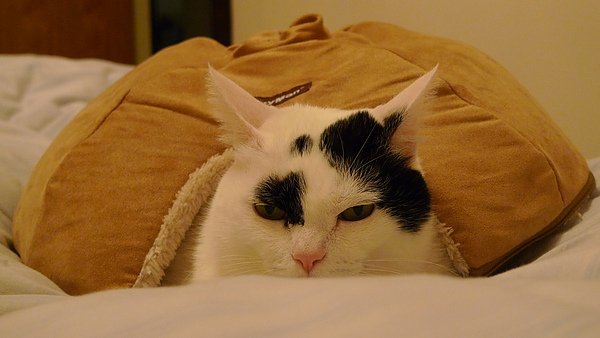P1010011.JPG