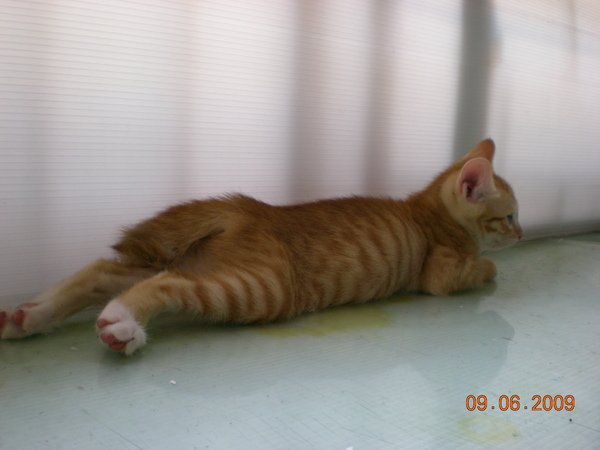 DSCN0750.JPG