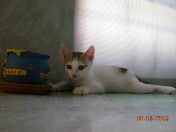 DSCN0746.JPG