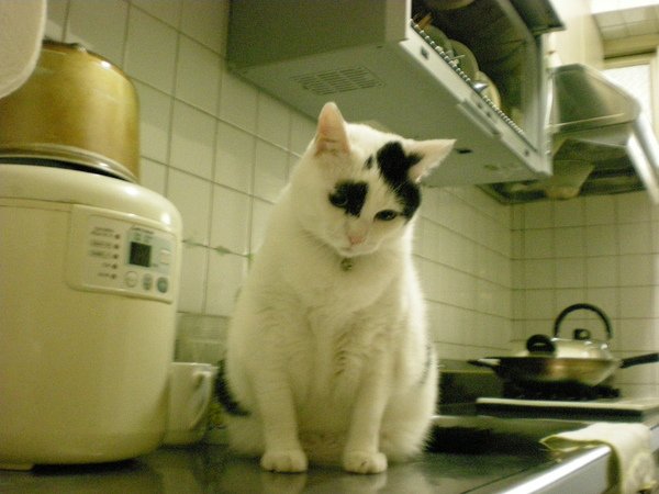 DSCN0930.JPG