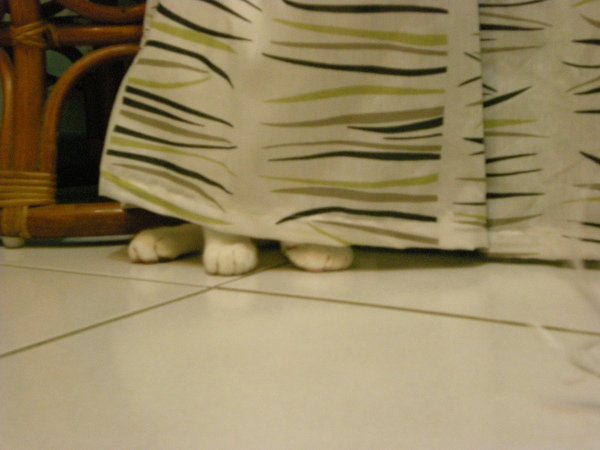DSCN1280.JPG