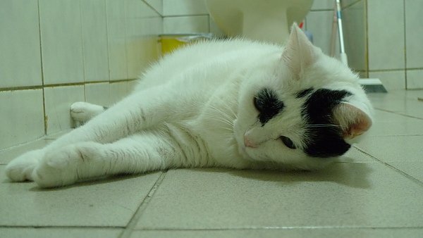 P1000670.JPG