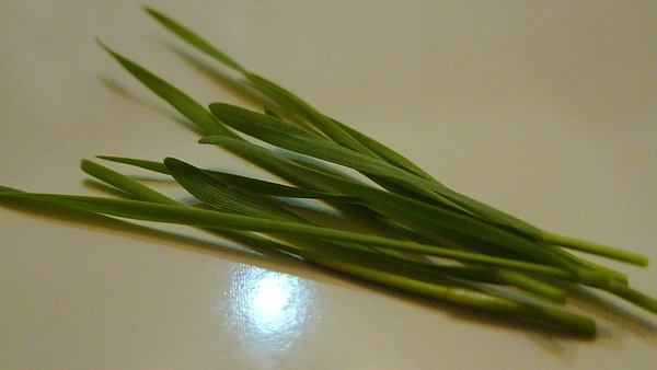 P1000708.JPG