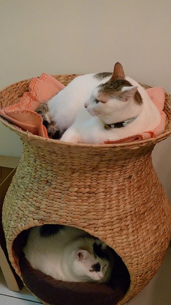 P1000991.JPG