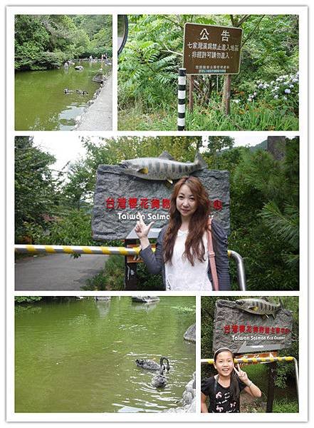 櫻花鉤吻鮭生態中心.jpg