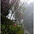 P1000865.JPG