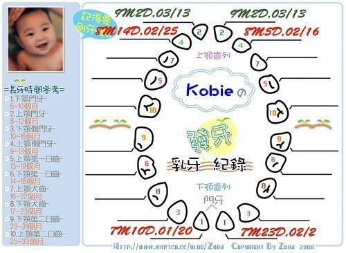 Kobie發芽紀錄第五,顆.jpg