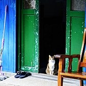 _MG_1750a.jpg