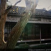 _MG_1784a.jpg