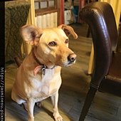 _MG_1807.JPG