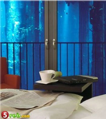 aquadom-003.jpg