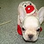 PICT0042.JPG