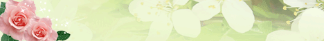 logo.gif