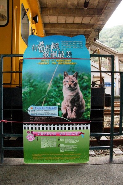 DSC_3218.JPG