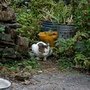 DSC_3237.JPG