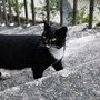 DSC_3242.JPG