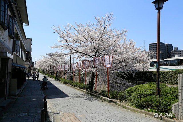 _MG_7423.JPG