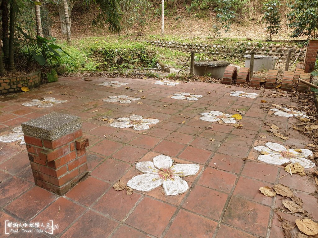 油桐花-4.jpg