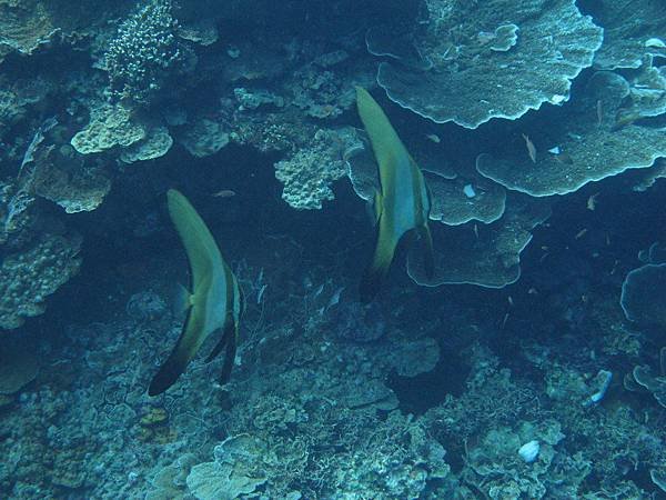 IMG_8777