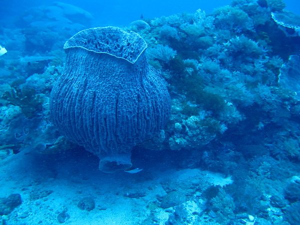 IMG_0598.JPG