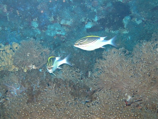 IMG_0621.JPG
