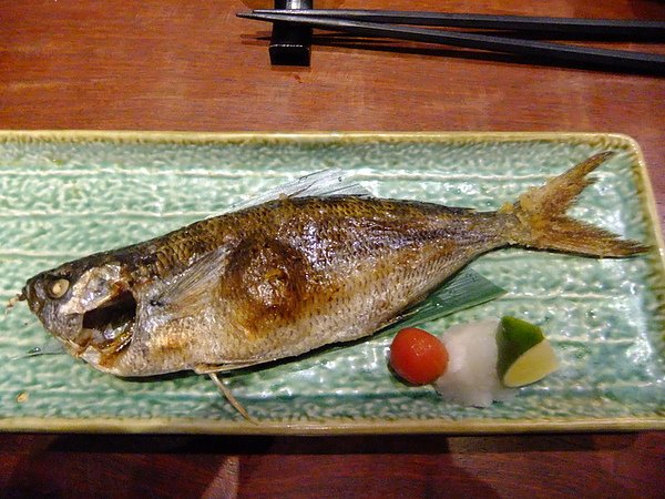 DSCF3284.jpg
