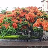 DSC00759.JPG